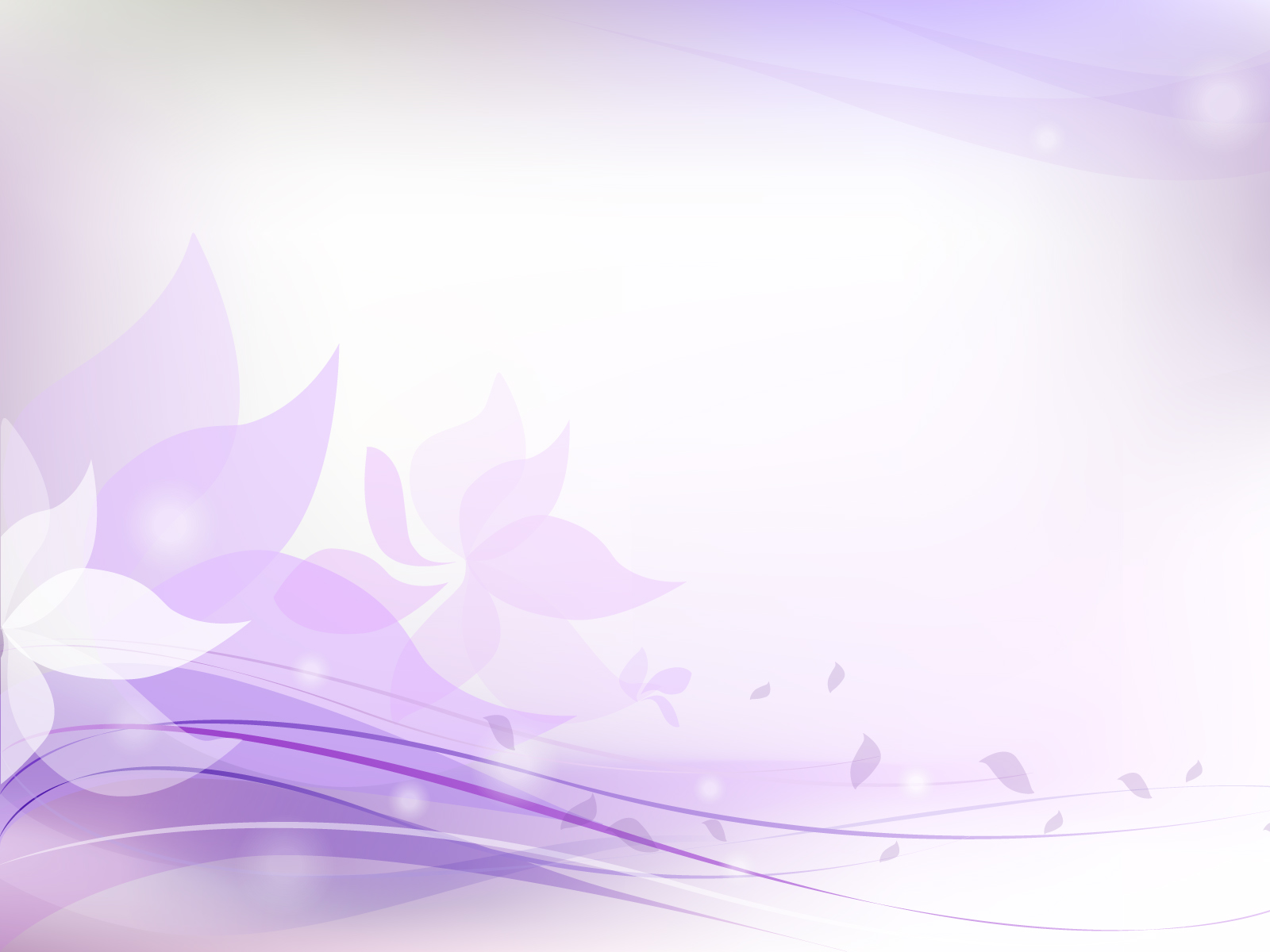 Light Purple Floral Backgrounds, Colors, Flowers, Purple, White Templates