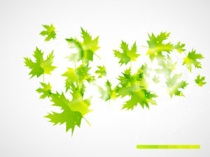 Abstract Leaves Powerpoint Background