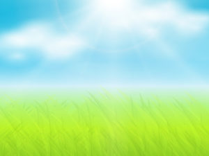 Grass and sun ppt backgrounds