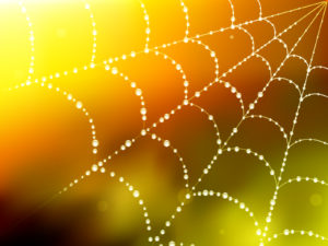 Spider Blur Web Backgrounds