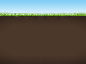 Nature Background with Sky Grass and Earth PPT Templates