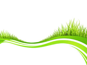 Spring fresh plant grasses ppt templates