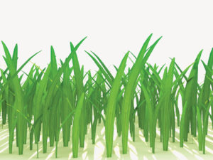 3d Grass Powerpoint Template