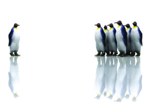 Penguins Powerpoint Vector Backgrounds