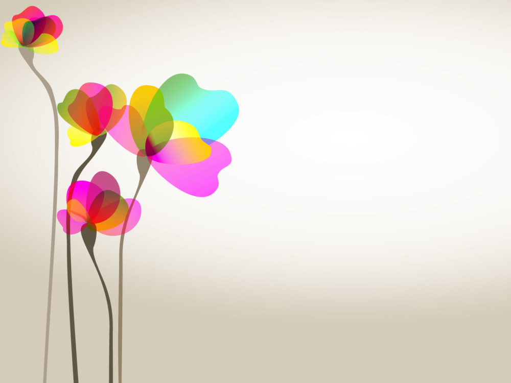 sweet colorful flower backgrounds blue flowers green information technology christmas