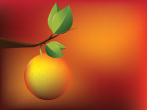 Apricot orange powerpoint templates