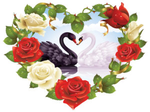 Black swan in heart ppt backgrounds