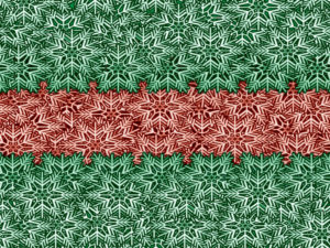Green and red winter backgrounds