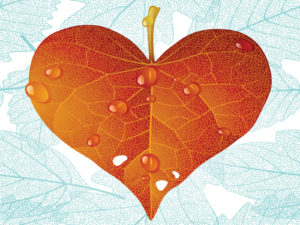 Hearth leaf powerpoint presentation