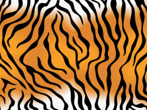Tiger Skin Pattern PPT Backgrounds