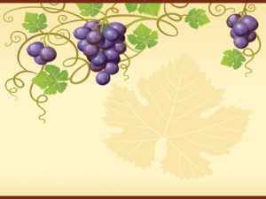 Nature Grape Vine for Foods Powerpoint