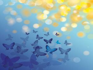 Animal Butterfly Blue PPT Backgrounds