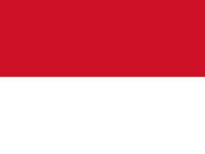 Flag of Indonesia PPT Background