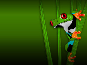 Green Frog Animal ppt backgrounds