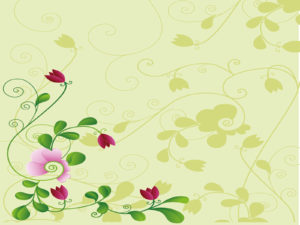 Flower and Shodow PPT Backgrounds