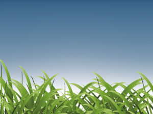 Grass for Sports PPT Backgrounds