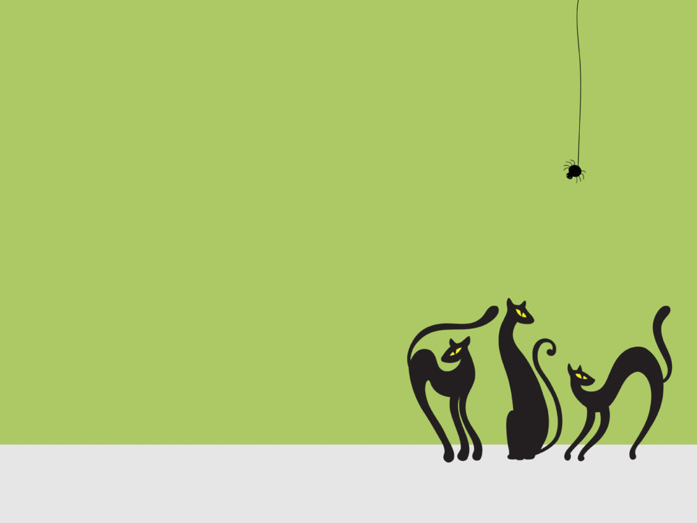 animal ppt template koni polycode co