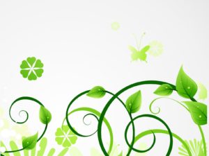 Fresh green eco leaves backgrounds