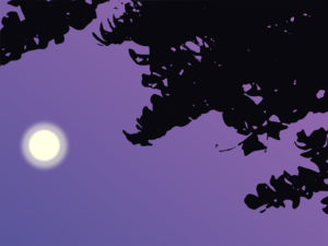Sky Moon PPT Backgrounds