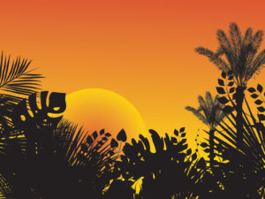 Tropical Sunset Design Backgrounds