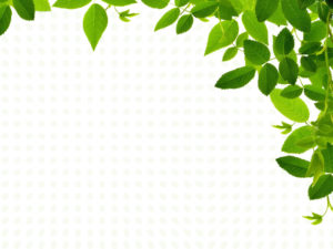 Real Leaves Design PPT