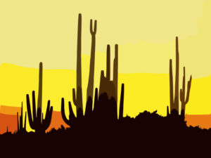 Saguaro Cactus At Sunset Arizona Backgrounds PPT