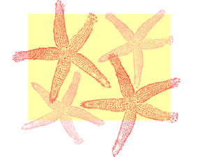 Starfish Prints Power Point Backgrounds