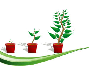 Green Plants Growth PPT Backgrounds
