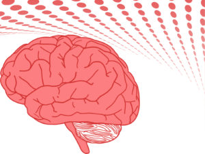 Human Brain PPT Templates