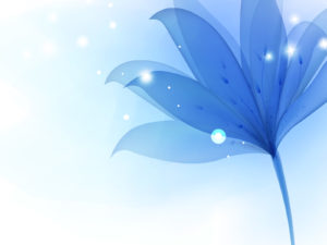 Blue Lily Flowers PPT Backgrounds