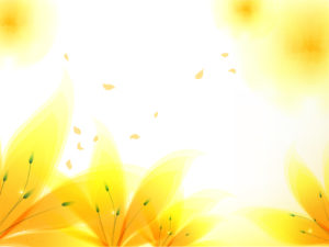 Fresh Yellow Flowers Backgrounds