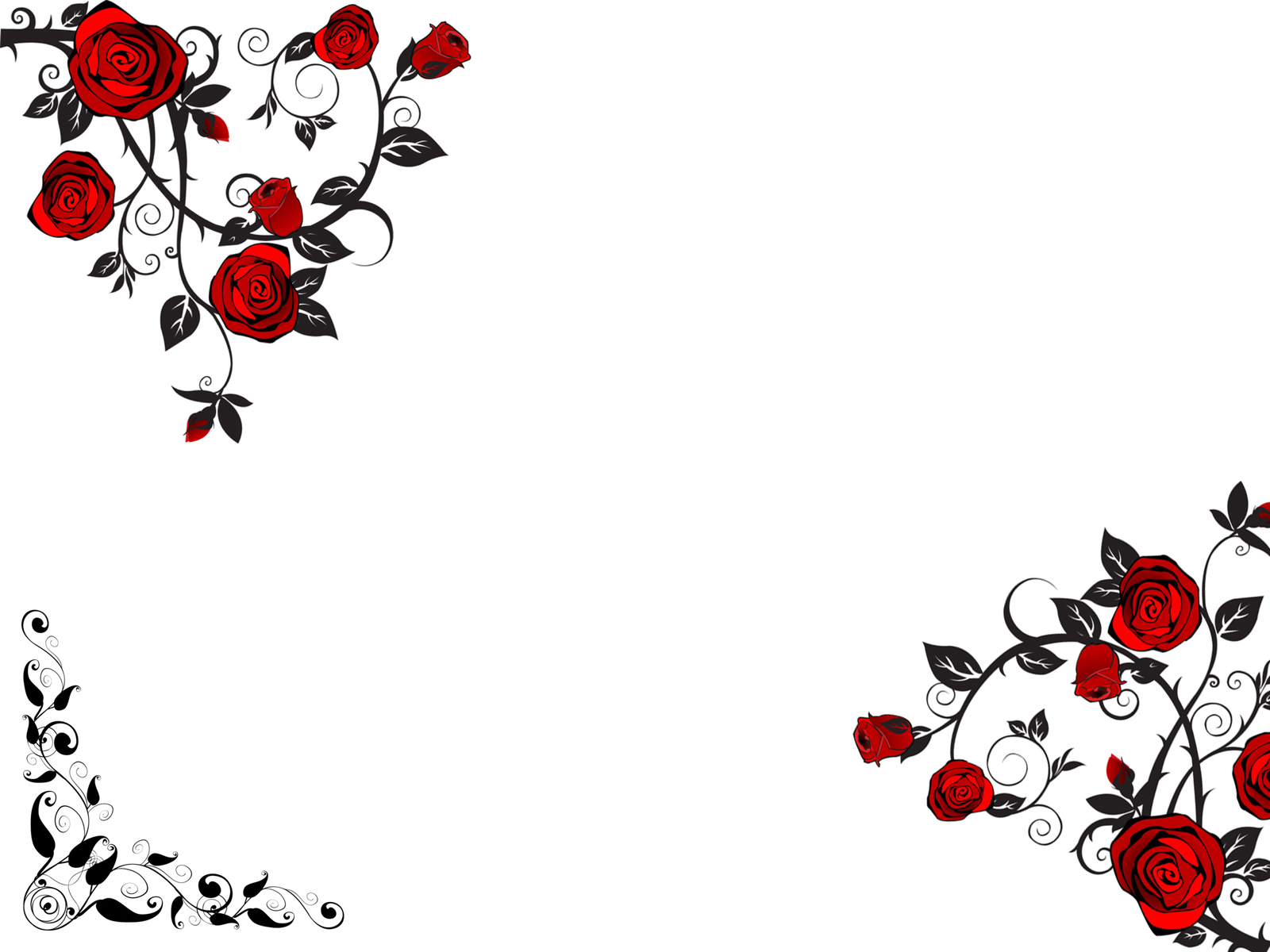 Free Flower Psd Frame — Romantic Red Rose — Milye