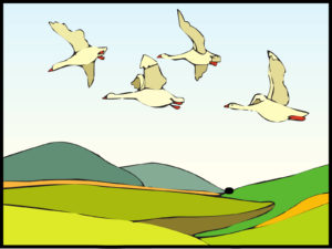 Geese Flying Over Landscape PPT Backgrounds