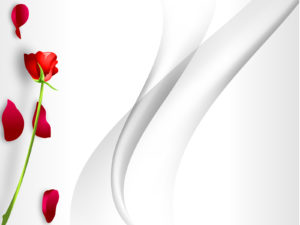 Redrose with Abstract Powerpoint Design