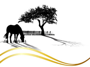 Horse Grazing Powerpoint Templates