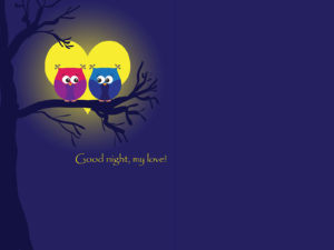 Owls in Moonlight Love Backgrounds