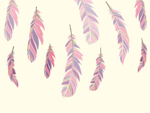 Colour Feathers PPT Backgrounds