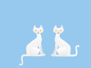 Two White Cats Backgrounds PPT
