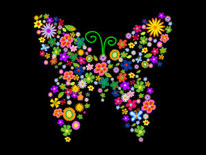 Colorful Flowers and Butterflies Powerpoint