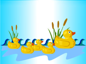 Rubber Ducks PPT Backgrounds