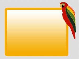 Parrot Bird PPT Backgrounds