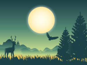Deer Experience Backgrounds