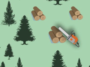 Pine Forest and Whipsaw Backgrounds