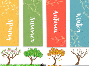 Season of Trees PPT Background