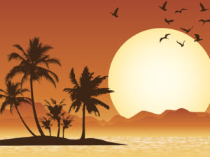 Tropical Scene Backgrounds