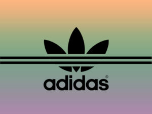 Adidas Sport Brand PPT Templates