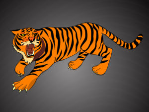 Angry Tiger Powerpoint Backgrounds
