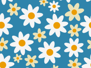 Camomile Powerpoint Backgrounds