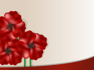 Poppy Flower PPT Backgrounds