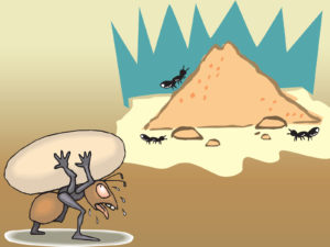 Ant Colony Powerpoint Backgrounds